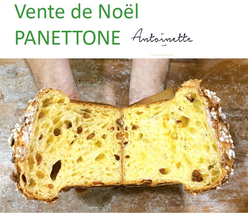 Panettones